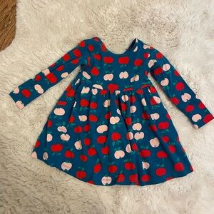 Hanna Andersson 2T Skater Dress